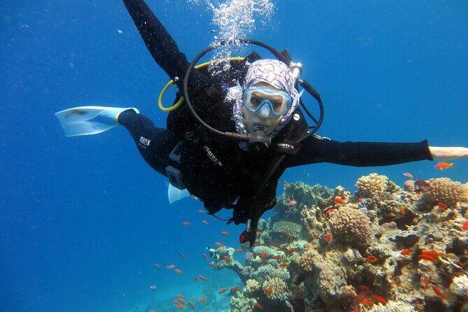 Excursion to Tiran Island by boat - Lunch and Onboard Experience