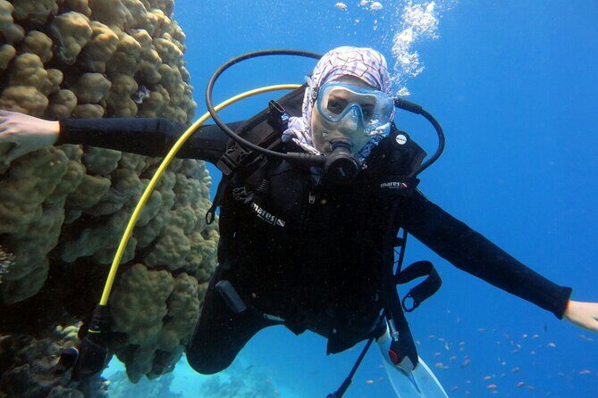 Excursion to Tiran Island by boat - Additional Highlights & Tips