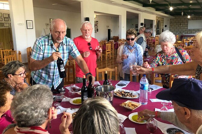 excursion-visiting-wineries-in-tenerife-with-lunch-2