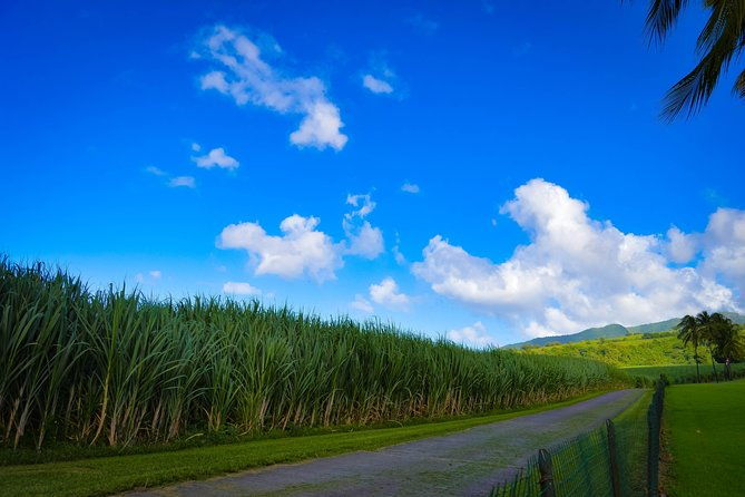 excursions-in-the-north-or-in-the-south-of-martinique