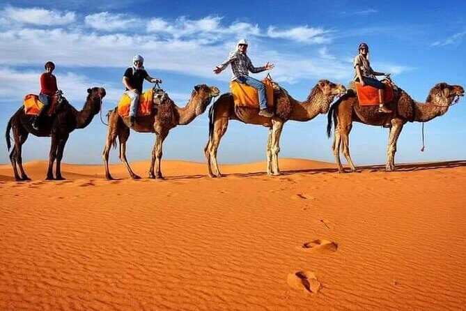 Excursions Quad Riding in Merzouga - Key Points
