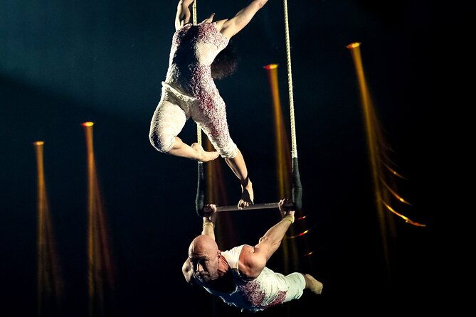 exhibit-acrobatics-dance-art