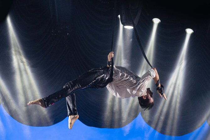 exhibit-acrobatics-dance-art