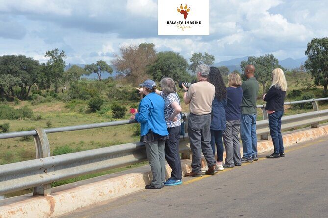 Exhilarating 7 Day Kruger Safari Adventure - South to North - An In-Depth Look at the 7-Day Kruger Safari Adventure