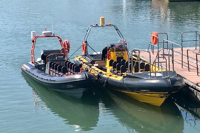 exhilarating-rib-experience-dingle-sea-safari
