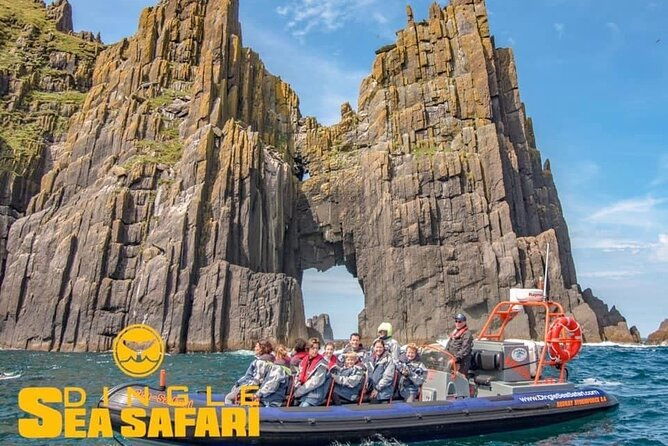 exhilarating-rib-experience-dingle-sea-safari
