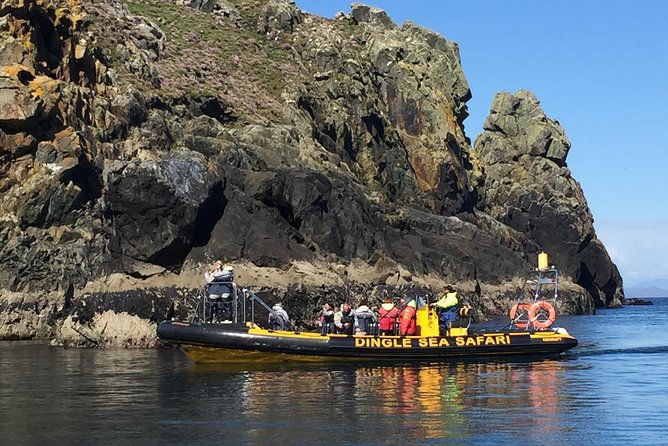 exhilarating-rib-experience-dingle-sea-safari