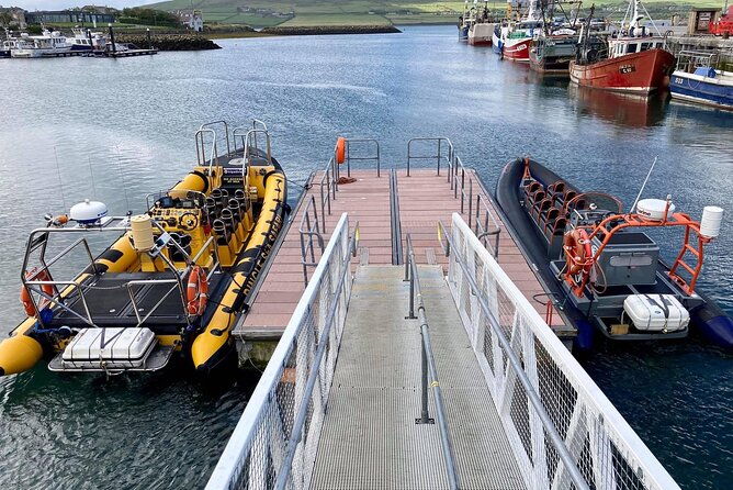 exhilarating-rib-experience-dingle-sea-safari