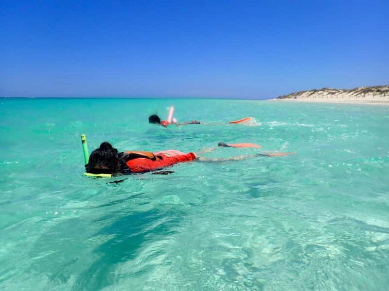 Exmouth: Full day Ningaloo in a Day tour - A deep dive into this guided tour experience