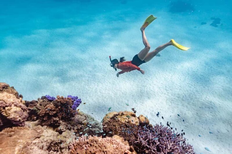 Exmouth: Guided Ningaloo Reef Snorkel Adventure - Key Points