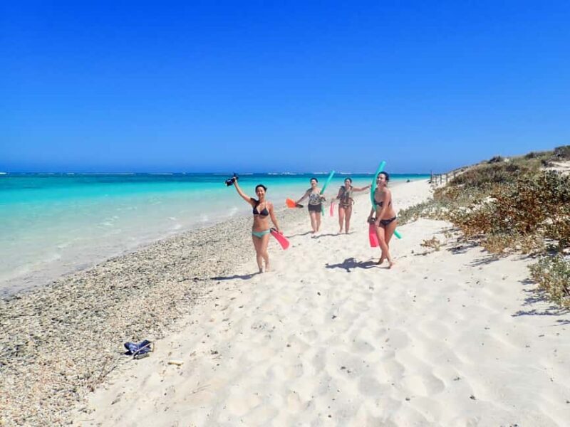 Exmouth: Guided Ningaloo Reef Snorkel Adventure - The Marine Life and Underwater Beauty
