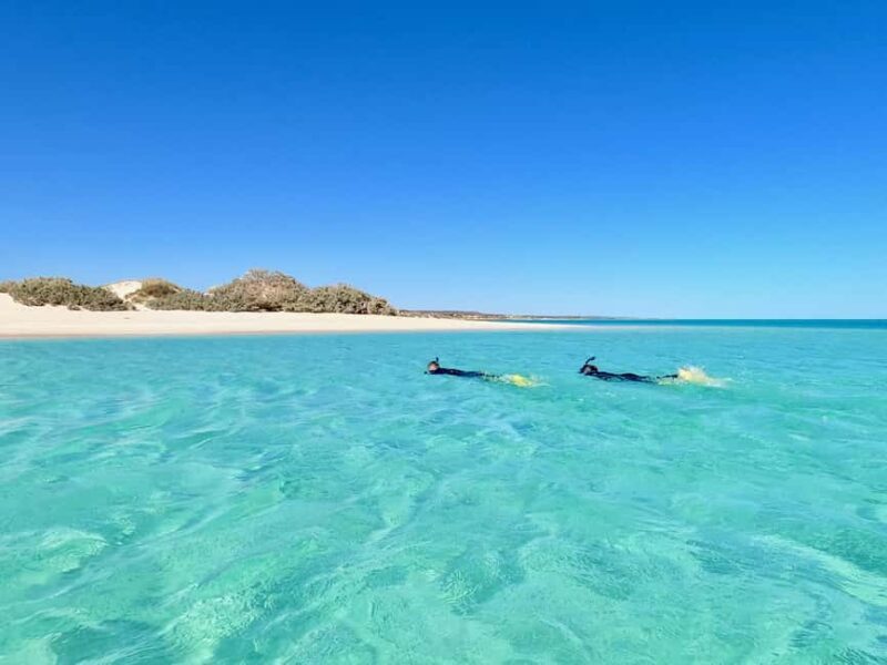 Exmouth: Guided Ningaloo Reef Snorkel Adventure - Equipment, Photos, and Practicalities