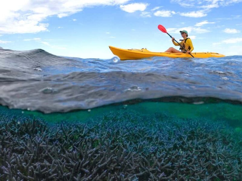 Exmouth: Half Day Coral by Kayak tour - An Overview of the Experience