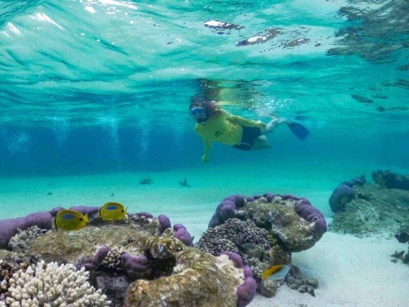 Exmouth: Half Day Coral by Kayak tour - Kayaking to the Sanctuary Zone