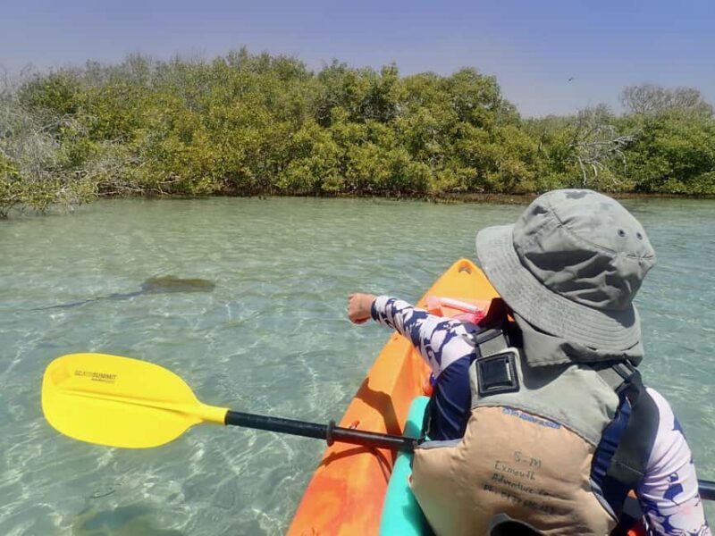 Exmouth: Half Day Turtle Kayak & Snorkel Tour - Key Points