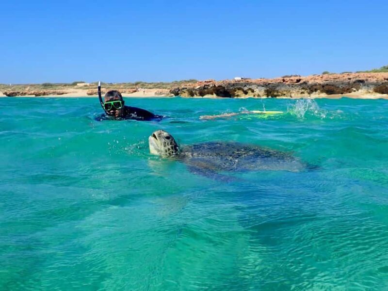 Exmouth: Half Day Turtle Kayak & Snorkel Tour - The Experience: Pros and Cons