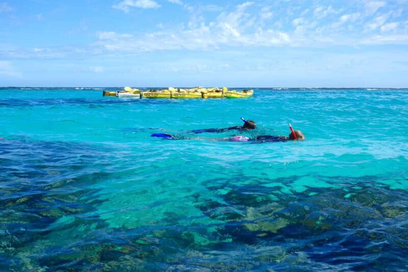 Exmouth: Lagoon Explorer - Full day kayak & Snorkel tour - Who Will Enjoy This Tour?