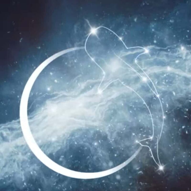 Exmouth Milyering: Cape Range National Park Astronomy Tour - Key Points