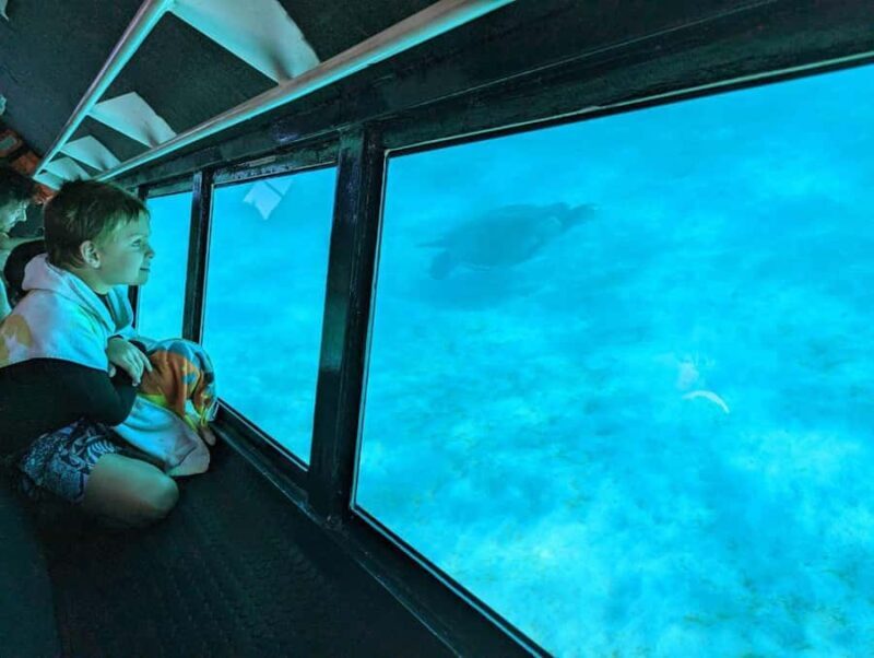 Exmouth: Ningaloo Semi-Submersible Glass Bottom Boat Tour - FAQ
