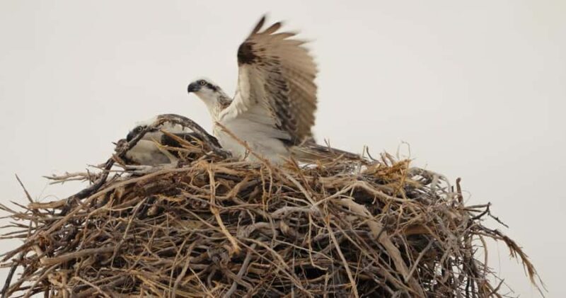 Exmouth: Yardie Creek Boat Tour - FAQs