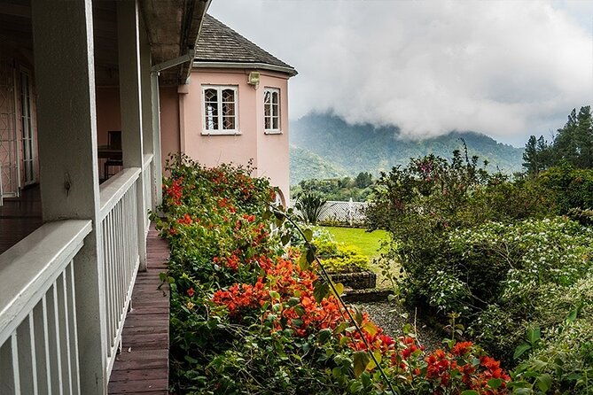 exotic-blue-mountain-coffee-tour