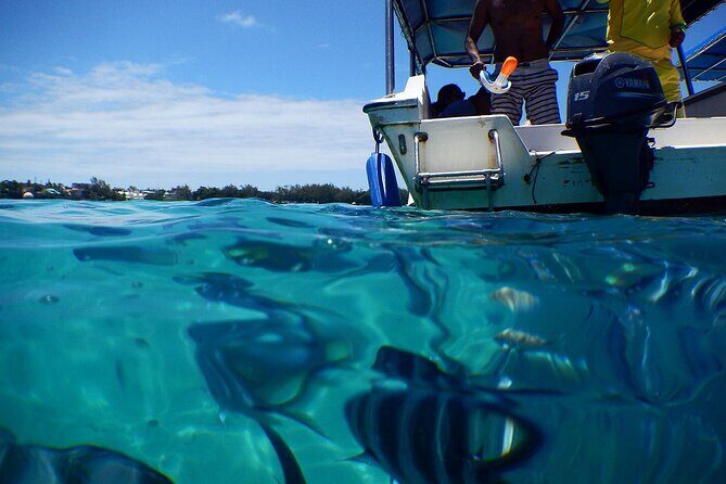 Exotic East of Mauritius: Full-day incl Ile aux Aigrette & Blue-Bay Marine Park - What We Love About This Tour