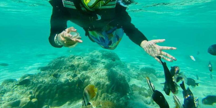 exotic-escape-island-pink-beach-and-snorkeling-daily-tour