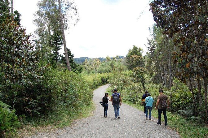 exotic-flowers-farm-and-silleteros-cultural-tour