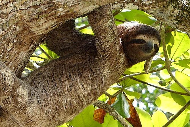 exotic-landscapes-of-costa-rica