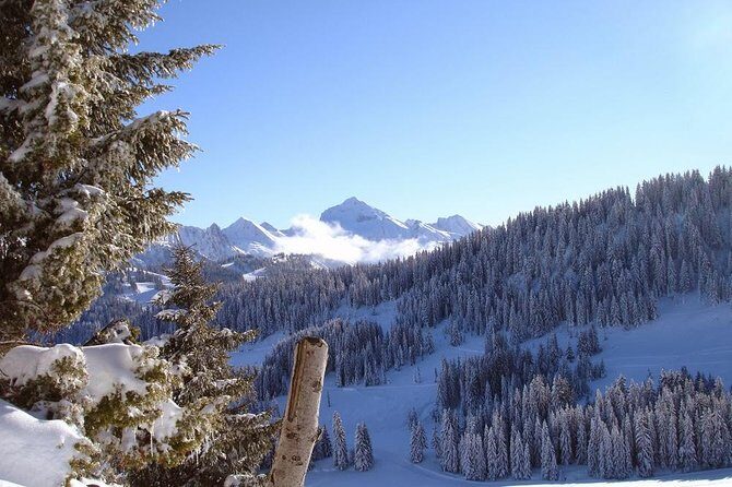 Exotic Manali Package - The Transport: Volvo Comfort from Delhi