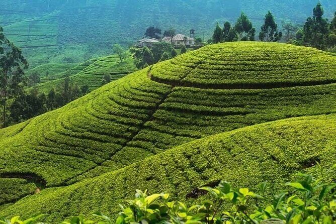 Exotic Sri Lanka Colombo City and Hill Country tour 4Nights 5Days - Day 4: Lakes, Adventures, and White Water Action