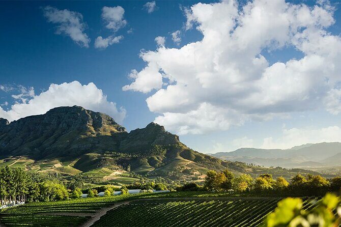 Experience 16 Wine Tasting & 6 Cheese Pairing across 3 Vineyards - Exploring the Itinerary in Detail