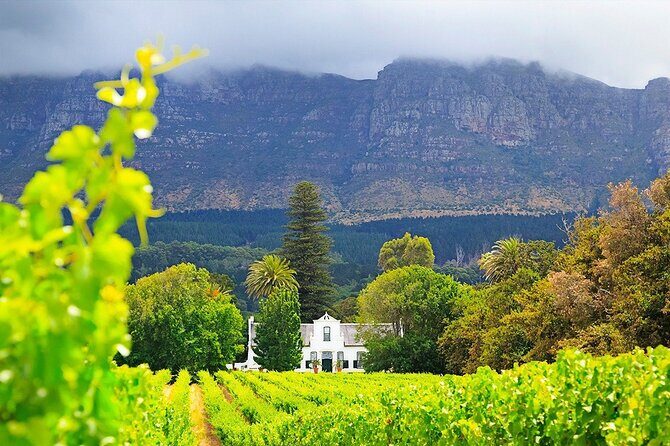 Experience 16 Wine Tasting & 6 Cheese Pairing across 3 Vineyards - Final Thoughts