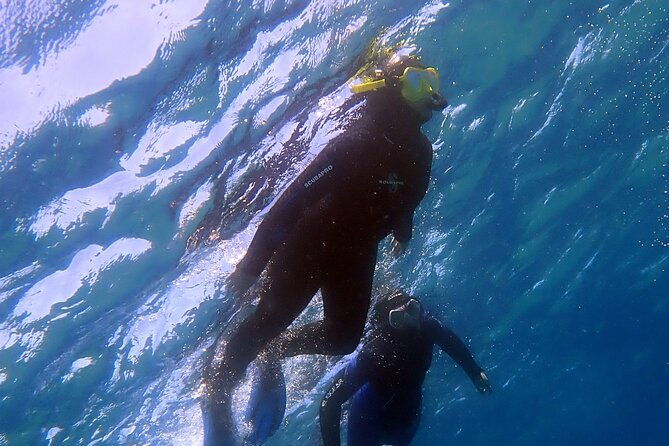 experience-2-hour-guided-snorkelling-in-costa-teguise-lanzarote
