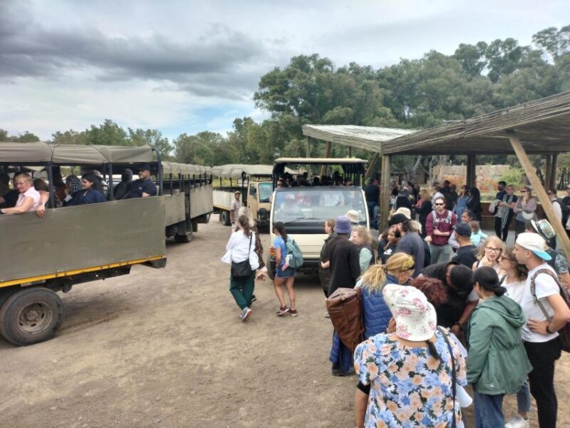 Experience an Amazing Big5 Safari near Cape Town! - Authentic Encounters & Insightful Commentary
