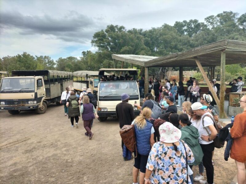 Experience an Amazing Big5 Safari near Cape Town! - Return Journey & Nearby Attractions