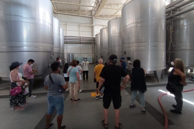 experience-and-tasting-of-pisco-and-peruvian-wine