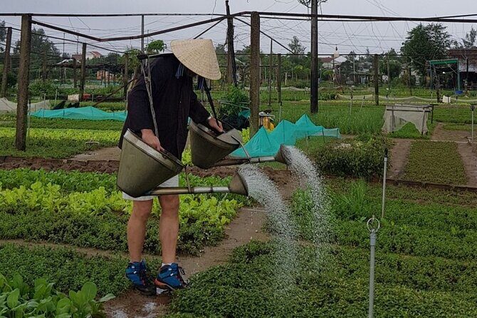 Experience Biking, Basket Boat Ride,Cooking Class In Tra Que - Key Points