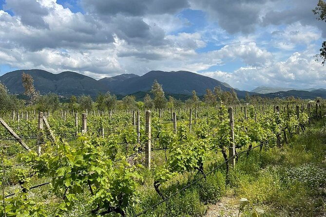 experience-blue-eye-lekuresi-castle-and-taste-traditional-albanian-wine-3