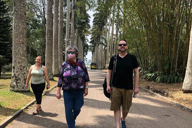 Experience Boti Waterfalls, Aburi Botanical Gardens & Tetteh Quarshie Cocoa Farm - A Closer Look at the Itinerary