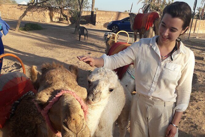 Experience Camel Ride Sunset or Anytime - FAQ
