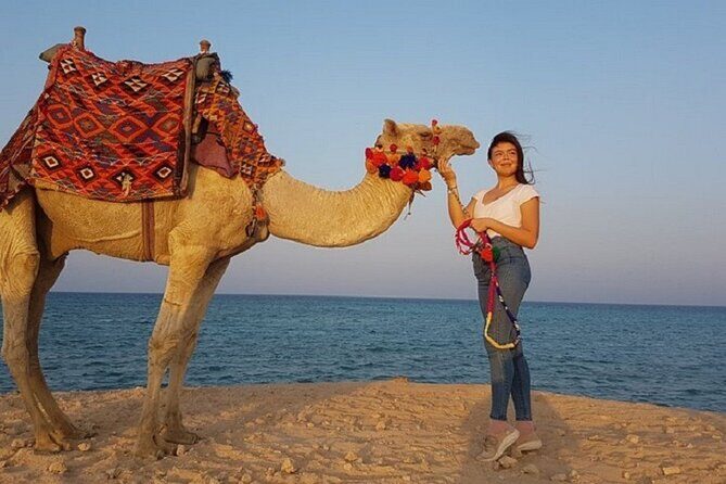 Experience Camel Riding in the Stunning Desert - Hurghada - Key Points