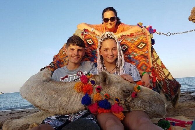 Experience Camel Riding in the Stunning Desert - Hurghada - Who Will Love This Experience?