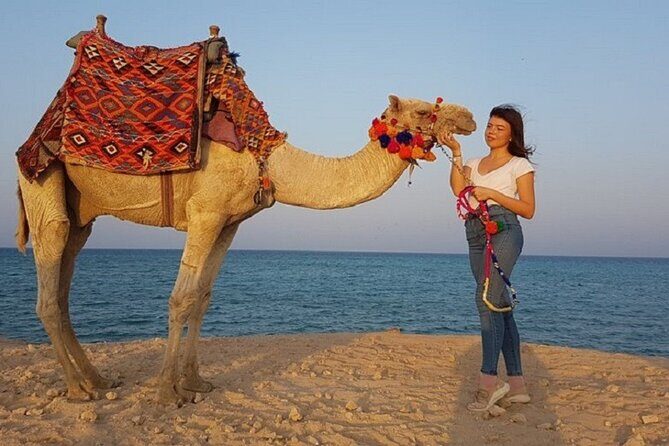 Experience Camel Riding in the Stunning Desert - Hurghada - Final Thoughts