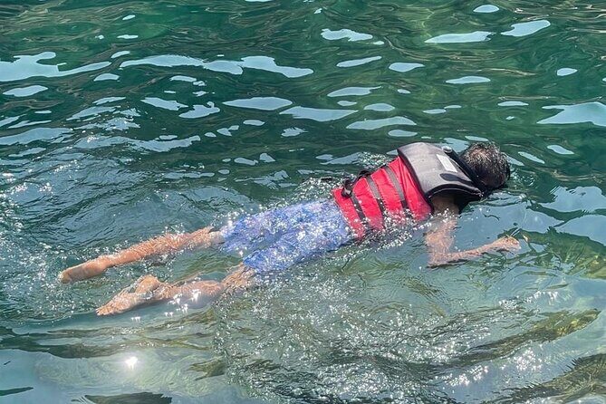 Experience Cham Islands Snorkeling Trip by Speedboat - What the Tour Entails: A Detailed Breakdown