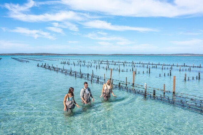 Experience Coffin Bay Oyster Farm and Bay Tour - The Value of This Tour: Why It’s Worth It