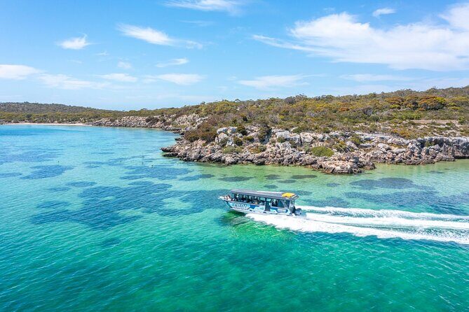 Experience Coffin Bay Short and Sweet Oyster Farm Tour - Introduction