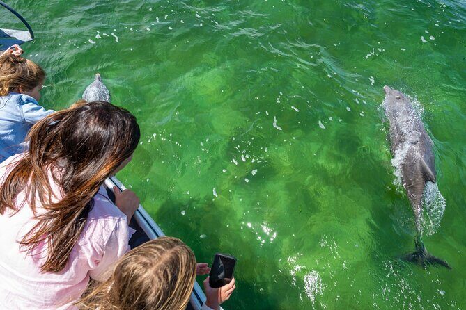 Experience Coffin Bay Short and Sweet Oyster Farm Tour - Authenticity and Experience from Reviews