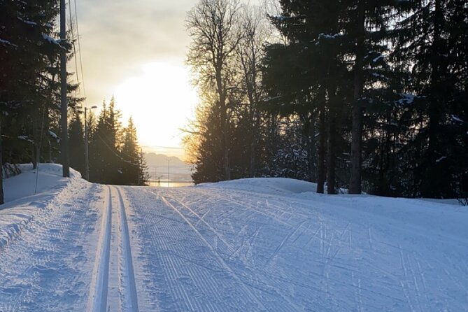 experience-cross-country-adventure-in-tromso