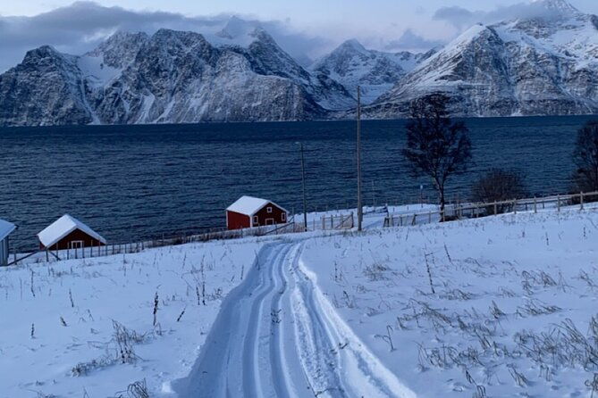 experience-cross-country-adventure-in-tromso
